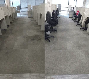 Cuidados com o Carpete