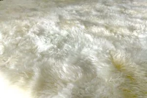 Lavagem tapete de lã