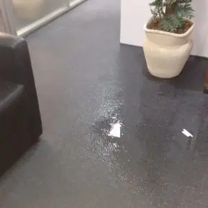 secagem de inundação de carpete