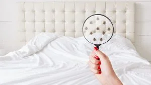 Higienização de Colchão