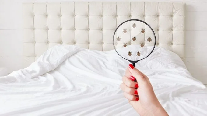 Serviços de Colchão